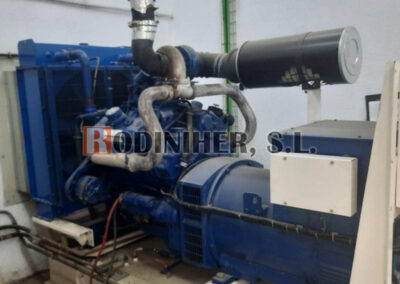 rodiniher sat grupos electrógenos generadores pramac electra molins electramolins