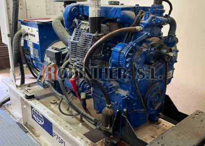 rodiniher sat grupos electrógenos generadores pramac fgwilson f g wilson fg wilson