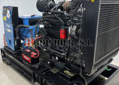 rodiniher sat grupos electrógenos generadores pramac sdmo kohler